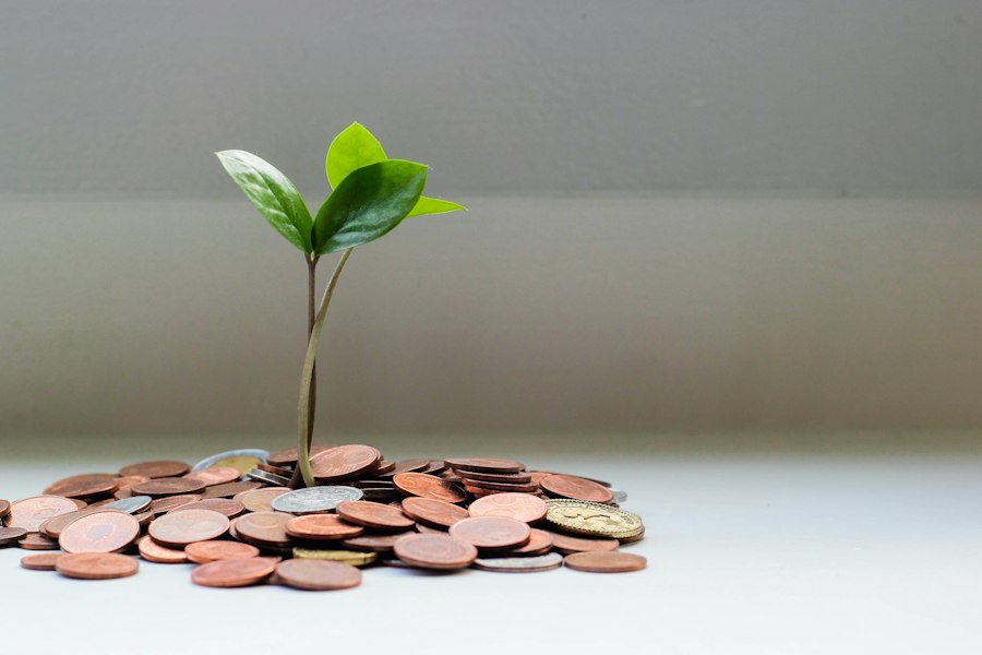 Building Wealth in Your 20s - financial planning and intentional investing
